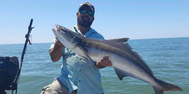 Fishing Charters in Crystal River | Cobia And Shark Fishing Trip